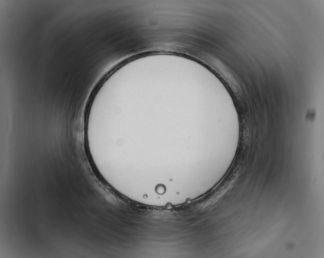X0000102510940200809051407