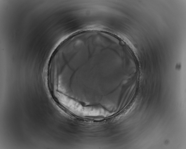 X0000102510941200809051407