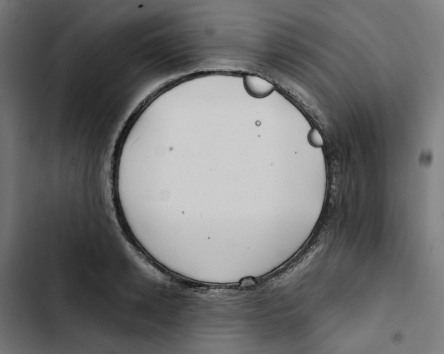 X0000102510942200809051407