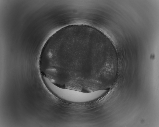 X0000102510943200809051407