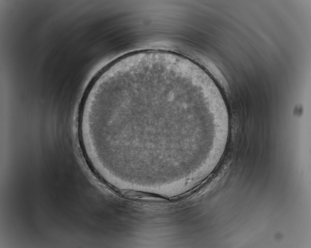 X0000102510944200809051407