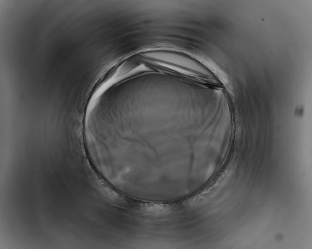 X0000102510945200809051407