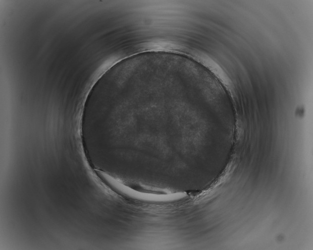 X0000102510946200809051407