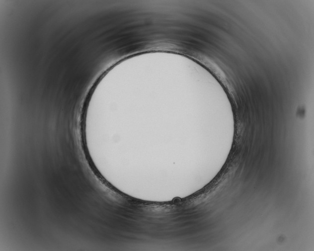 X0000102510947200809051407