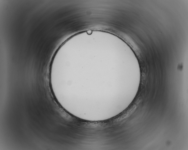 X0000102510948200809051407