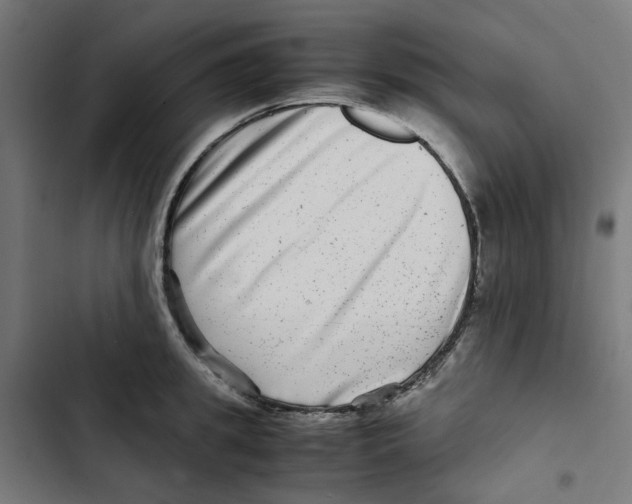 X0000102510949200809051407