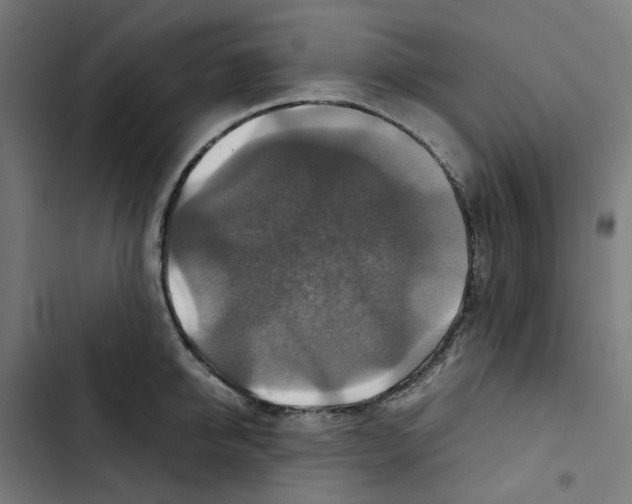 X0000102510950200809051407