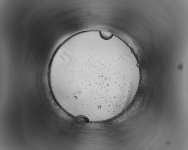 X0000102510952200809051407