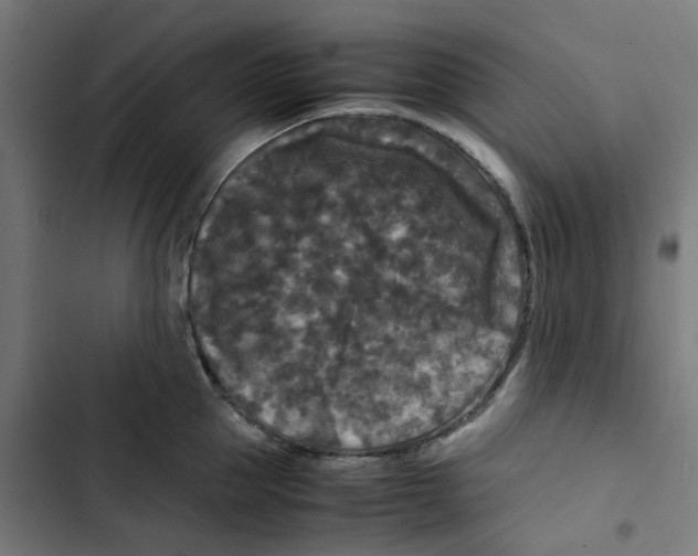 X0000102510953200809051407
