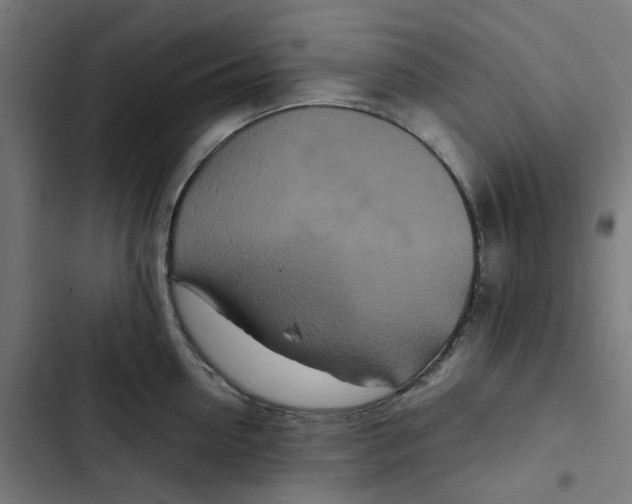 X0000102510954200809051407