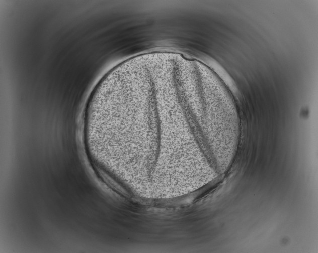 X0000102510955200809051407