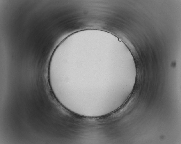 X0000102510956200809051407