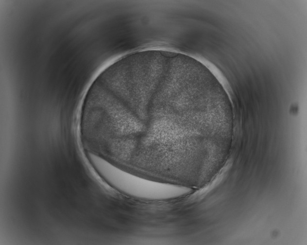 X0000102510957200809051407