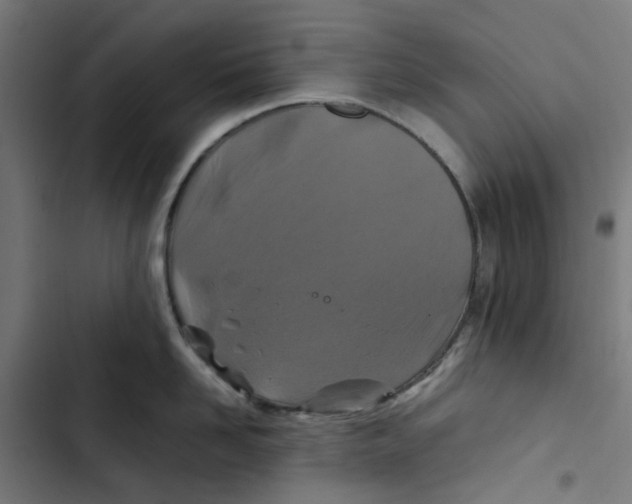 X0000102510958200809051407