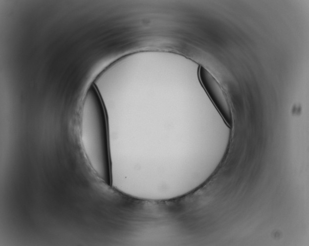 X0000102510960200809051407
