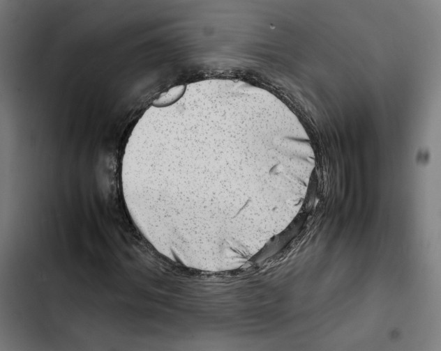 X0000102510964200809051406