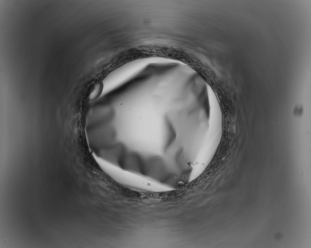 X0000102510965200809051406