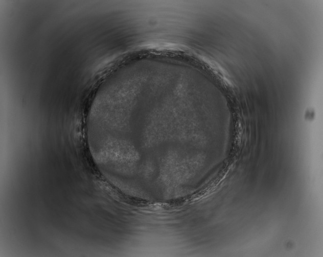 X0000102510966200809051406