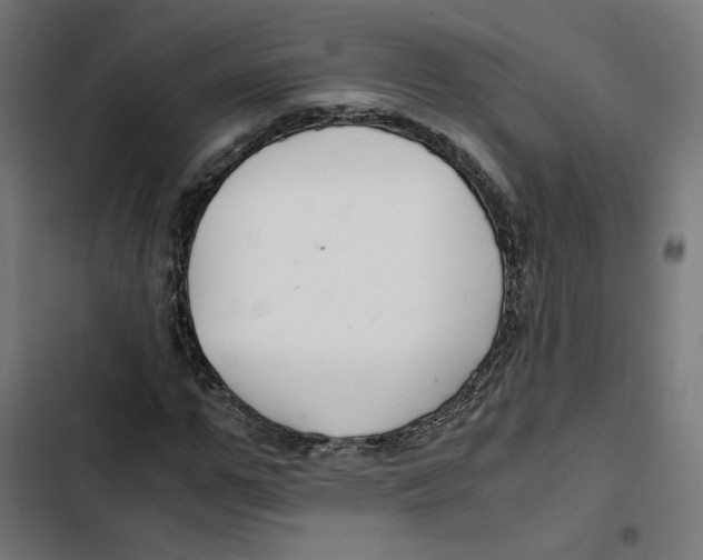 X0000102510967200809051406