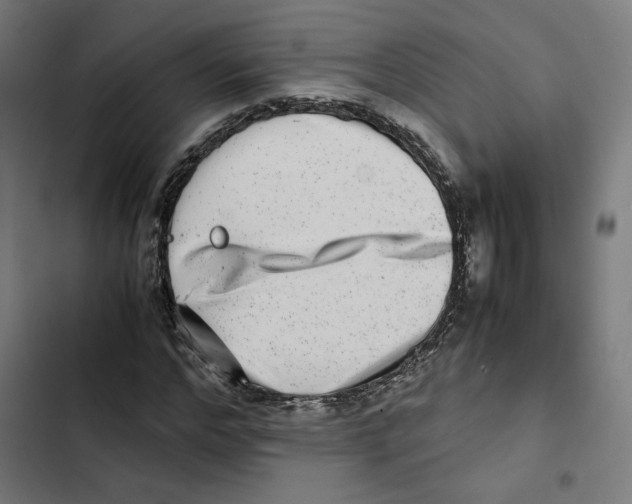 X0000102510968200809051406