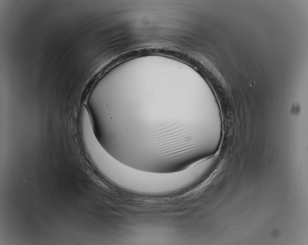 X0000102510969200809051406