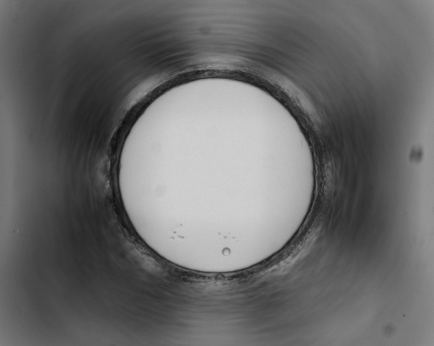 X0000102510970200809051406