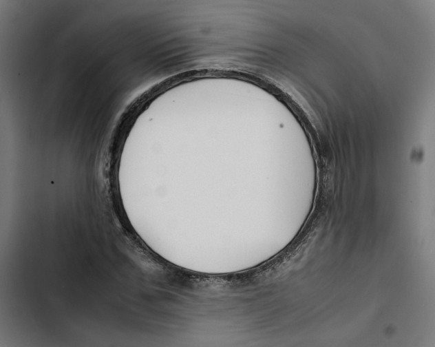 X0000102510971200809051406