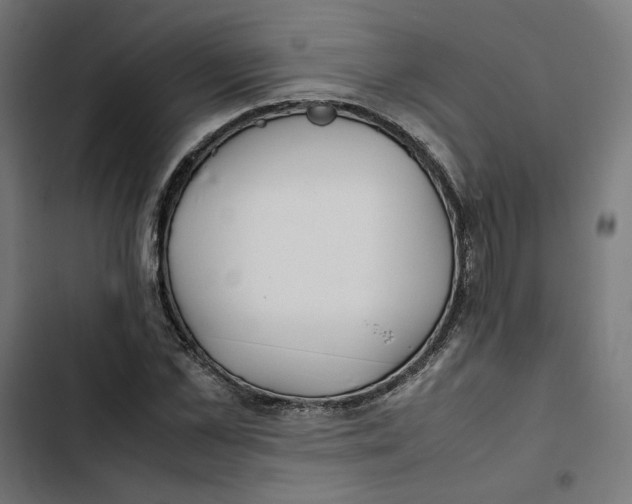 X0000102510973200809051406