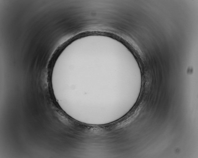 X0000102510974200809051406