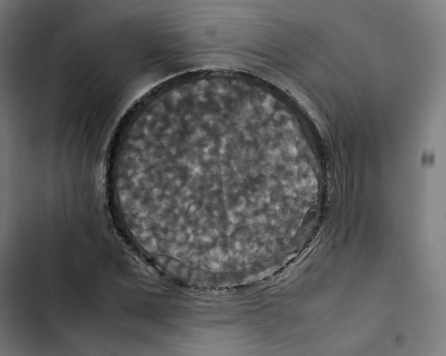 X0000102510975200809051406