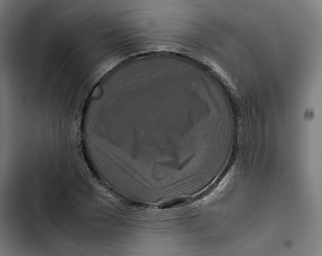 X0000102510977200809051406