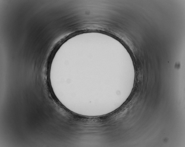 X0000102510979200809051406