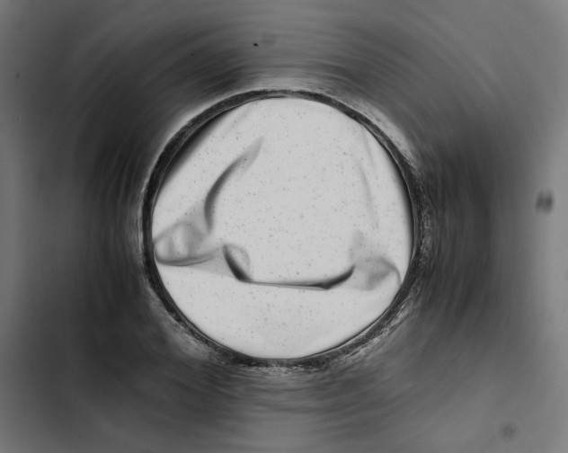 X0000102510980200809051406