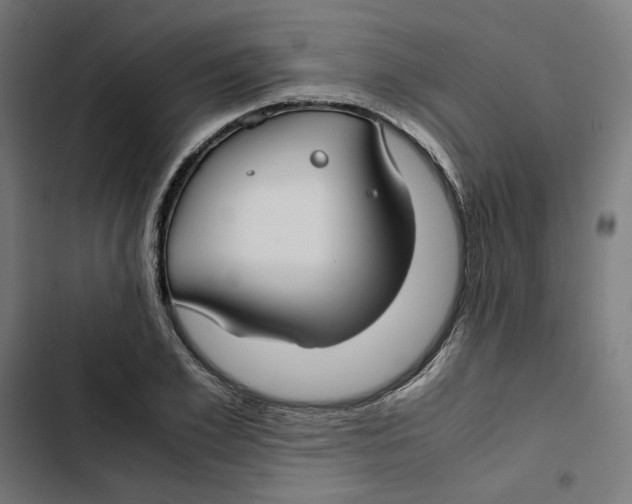 X0000102510981200809051406
