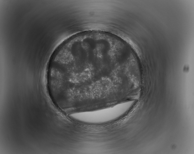 X0000102510983200809051406