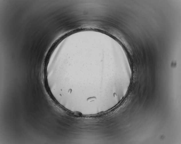 X0000102510984200809051406