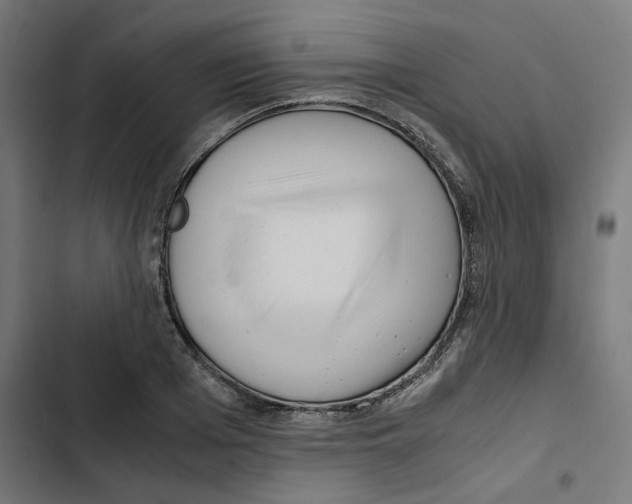X0000102510985200809051406