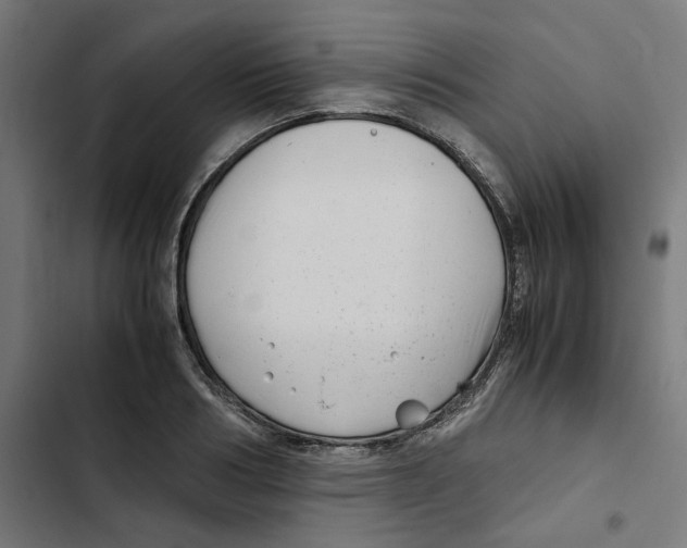 X0000102510986200809051406