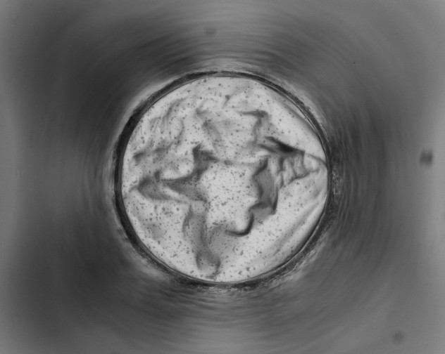 X0000102510987200809051406