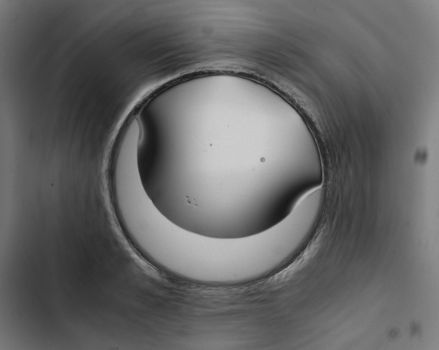 X0000102510989200809051406