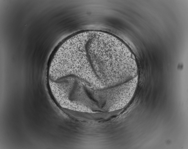 X0000102510992200809051406