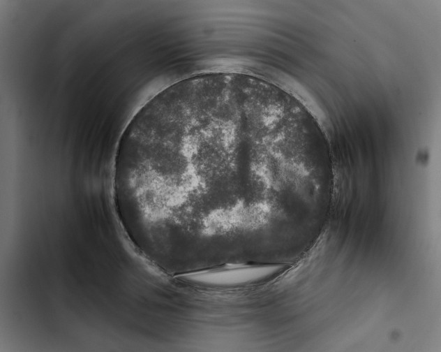 X0000102510994200809051406