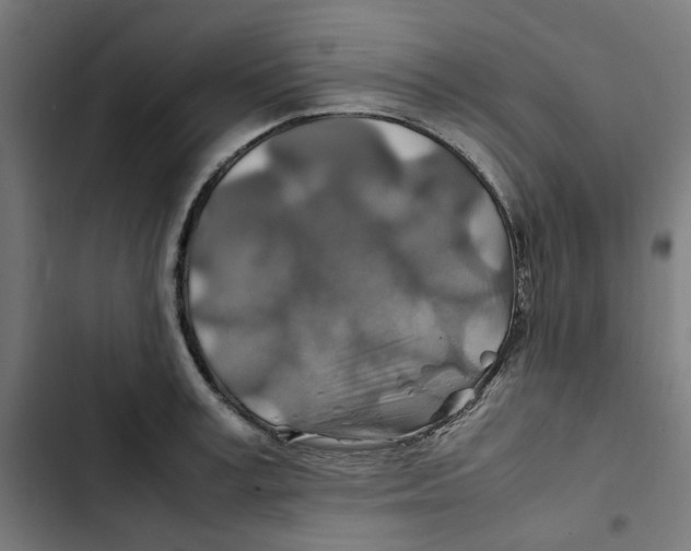 X0000102510995200809051406