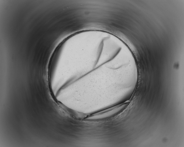 X0000102510996200809051406