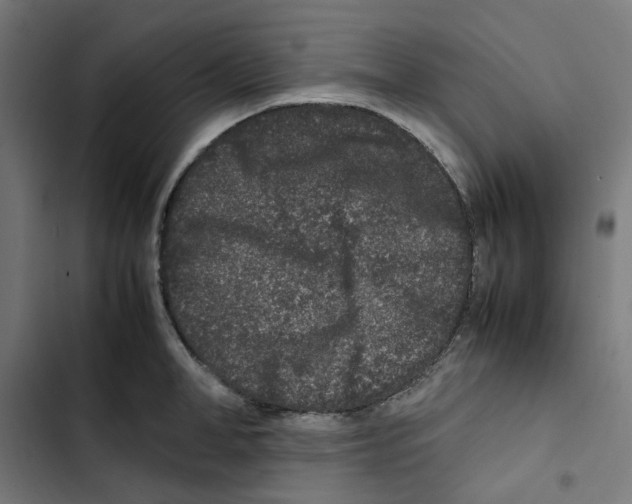 X0000102510998200809051406