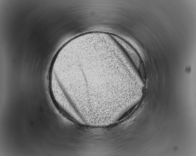 X0000102510999200809051406
