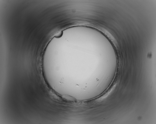 X0000102511001200809051406