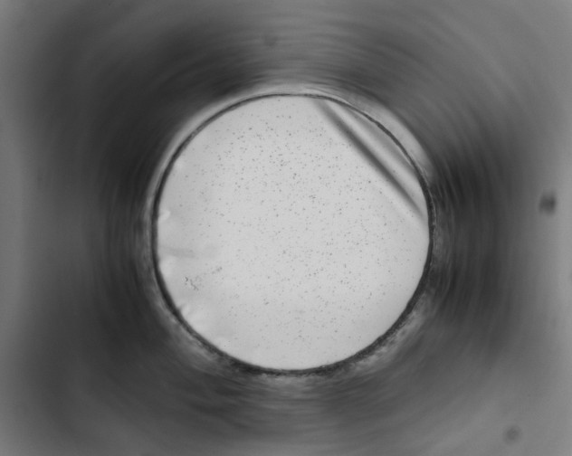 X0000102511004200809051406