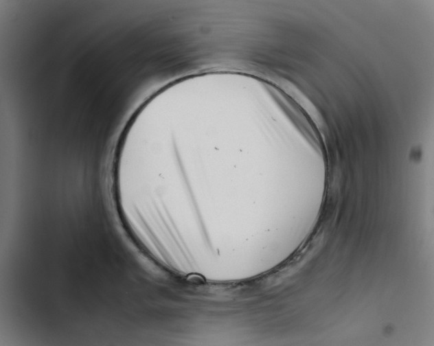 X0000102511005200809051406