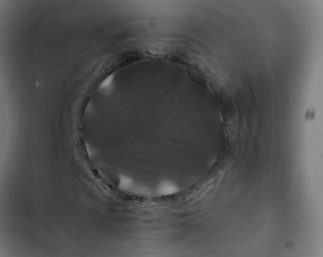 X0000102511009200809051405